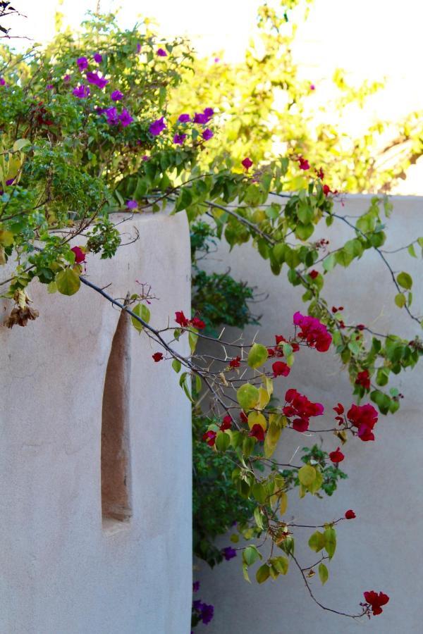 Riad Agnes Et Zohra Marrakesh Exteriör bild